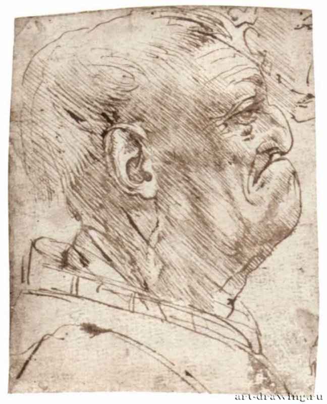 Мужская карикатура. 1508-1513 - 128 х 102 мм. Перо коричневым тоном, на бумаге. Милан. Библиотека Амброзиана.