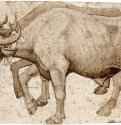Два буйвола в упряжке. Первая треть 15 века - Пизанелло: 113 х 193 мм. Отмывка, перо по рисунку металлическим штифтом. Нью-Йорк. Собрание Шольц.