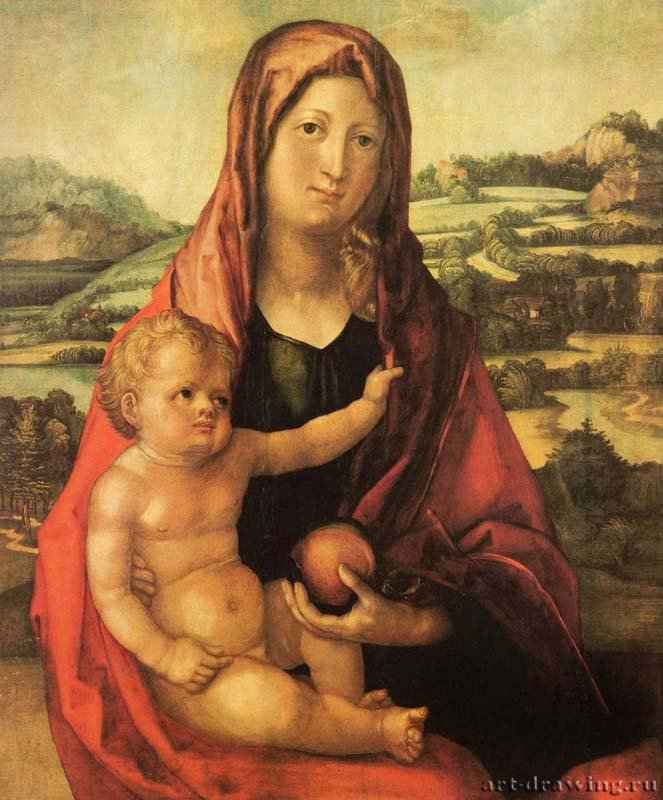 Мария с младенцем на фоне пейзажа - 1494-1497 *89 х 74 смДерево (тополь)ВозрождениеГерманияШвайнфурт. Собрание Георга Шефера